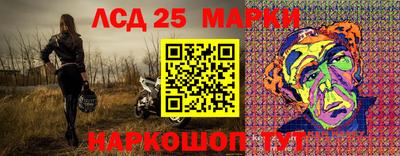 прущие крисы Бердск