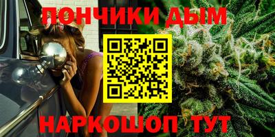 прущие крисы Бердск