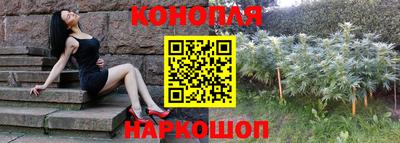 прущие крисы Бердск