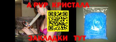 прущие крисы Бердск