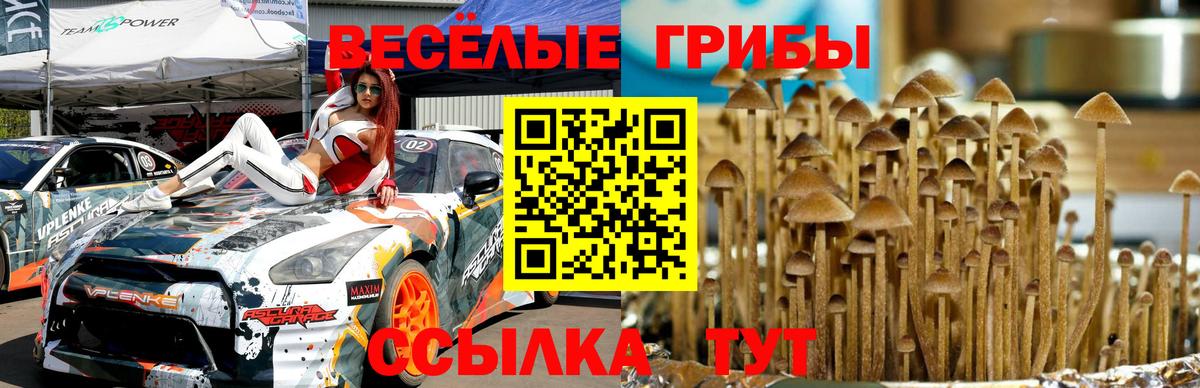 Псилоцибиновые грибы GOLDEN TEACHER Владимир