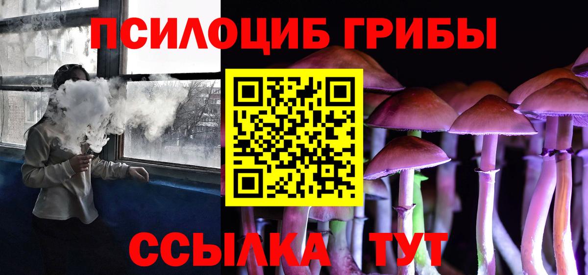 магазин продажи наркотиков  Вход с VPN  Владимир  Галлюциногенные грибы Psilocybine cubensis 